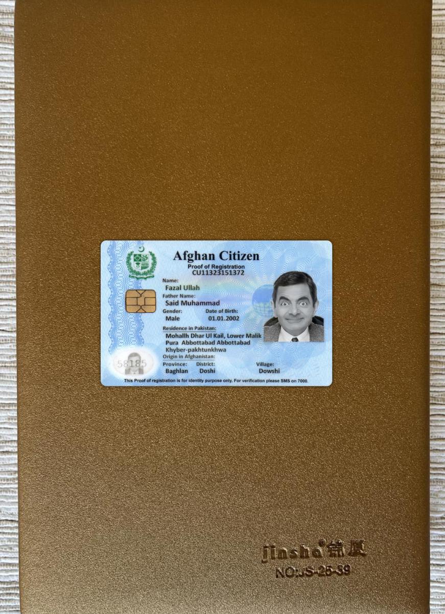 Realistic Afghan citizen proof of registration photolook example